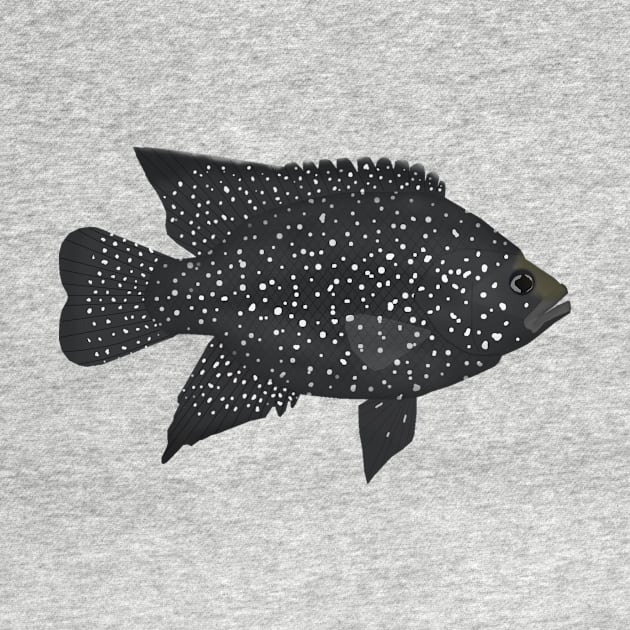 Black Diamond Cichlid by FishFolkArt